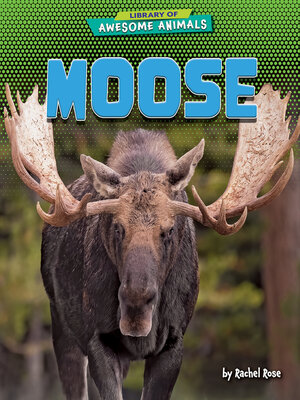 cover image of Moose